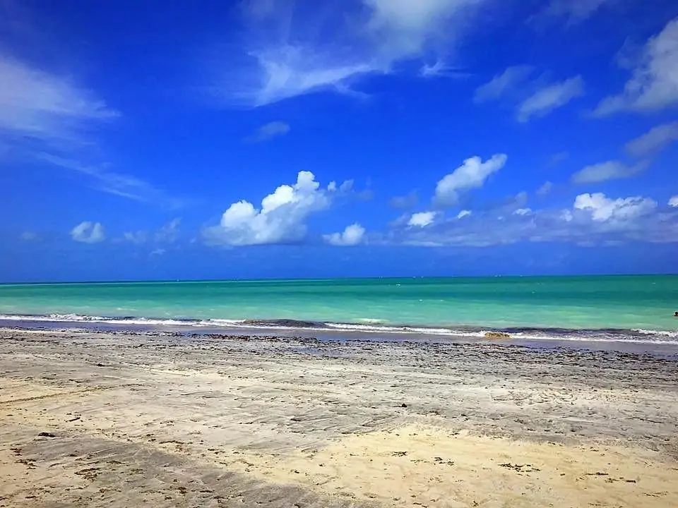 Enseada dos Golfinhos