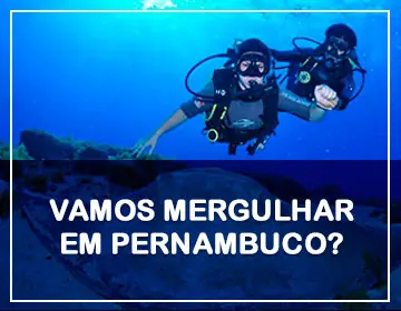 Mergulho Certo em Pernambuco
