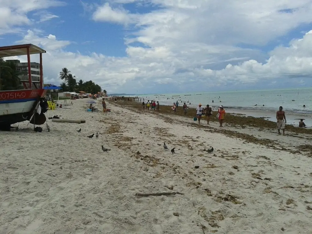 Praia do Pilar, ilha de Itamaracá